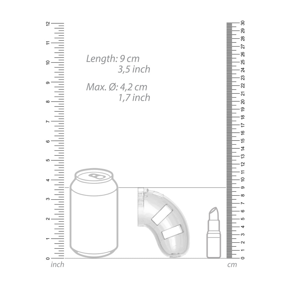 Man Cage 10 Male 3.5 Inch Clear Chastity Cage With Anal Plug